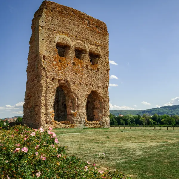 autun_temple_janus_image